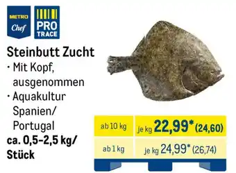 METRO Steinbutt Zucht Angebot