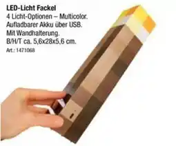 Zurbrüggen LED-Licht Fackel Angebot