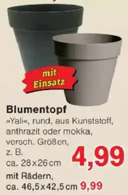 Jawoll Blumentopf »Yali« Angebot