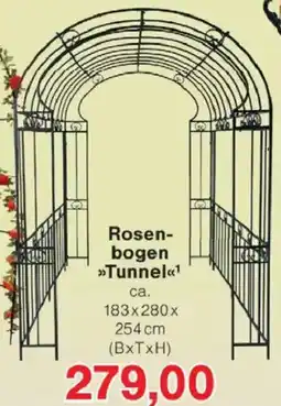 Jawoll Rosenbogen Tunnel Angebot