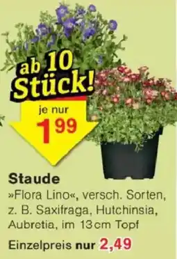 Jawoll Flora Lino Angebot