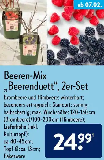 Aldi Nord Beeren-Mix ,,Beerenduett'', 2er-Set Angebot