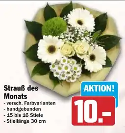 HIT Strauß des Monats Angebot