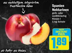 HIT Spanien Nektarinen Angebot