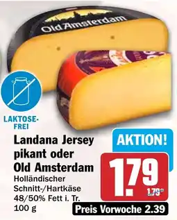 HIT Landana Jersey Old Amsterdam Angebot