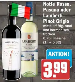 HIT Notte Rossa, Pasqua oder Lamberti Pinot Grigio Angebot