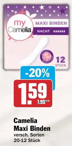 HIT Camelia Maxi Binden Angebot