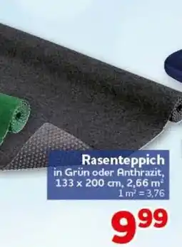 CENTERSHOP Rasenteppich Angebot