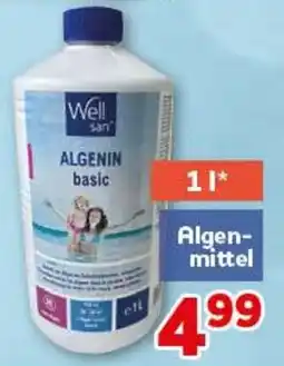 CENTERSHOP Well san ALGENIN basic Angebot