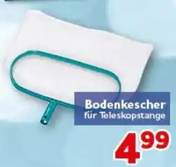 CENTERSHOP Bodenkescher für Teleskopstange Angebot