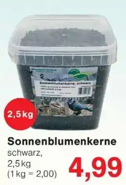 Wiglo Wunderland Sonnenblumenkerne, schwarz Angebot