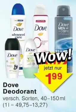 Wiglo Wunderland Dove Deodorant Angebot