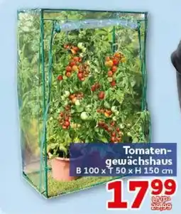 CENTERSHOP Tomaten-gewächshaus Angebot