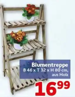 CENTERSHOP Blumentreppe Angebot