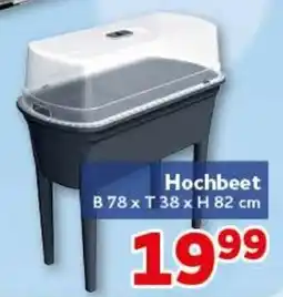 CENTERSHOP Hochbeet Angebot