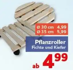 CENTERSHOP Pflanzroller Fichte und Kiefer Angebot