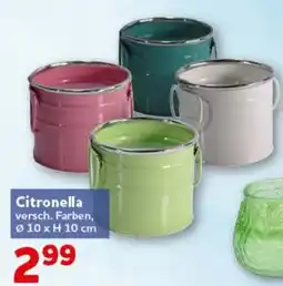 CENTERSHOP Citronella Angebot