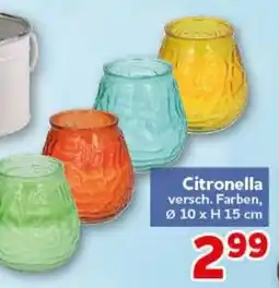 CENTERSHOP Citronella Angebot