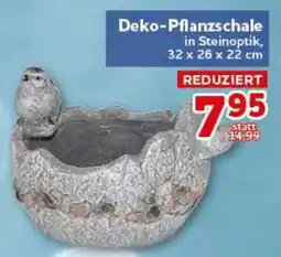 CENTERSHOP Deko-Pflanzschale in Steinoptik Angebot