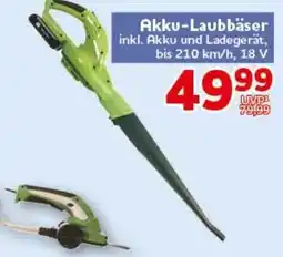 CENTERSHOP Akku-Laubbäser Angebot