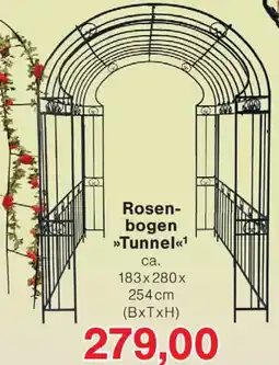 Wiglo Wunderland Rosenbogen Tunnel Angebot