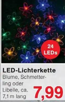 Wiglo Wunderland LED-Lichterkette Angebot