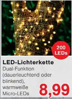 Wiglo Wunderland LED-Lichterkette Angebot