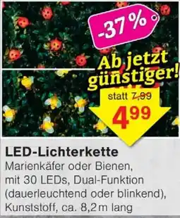 Wiglo Wunderland LED-Lichterkette Angebot