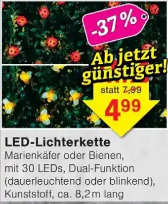 Wiglo Wunderland LED-Lichterkette Angebot