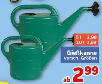 CENTERSHOP Gießkanne Angebot