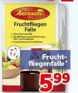 CENTERSHOP Aeroxon Fruchtfliegen Falle Angebot