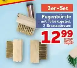 CENTERSHOP Fugensbürste mit Teleskopstiel Angebot
