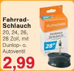 Wiglo Wunderland Fahrrad-Schlauch prophete Angebot