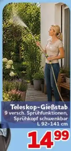 CENTERSHOP Teleskop-Gießstab Angebot