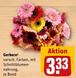 REWE Gerbera Angebot