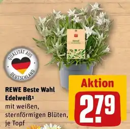 REWE REWE Beste Wahl Edelweiß Angebot