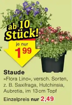Wiglo Wunderland Flora Lino Angebot