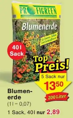 Wiglo Wunderland PROFIGREEN Blumenerde Angebot