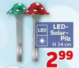 CENTERSHOP LED-Solar-Pilz Angebot