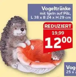 CENTERSHOP Vogeltränke mit Iglern auf Pilz Angebot
