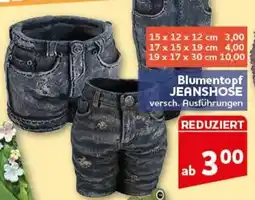 CENTERSHOP Blumentopf JEANSHOSE Angebot