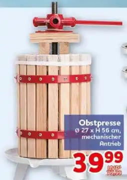 CENTERSHOP Obstpresse Angebot