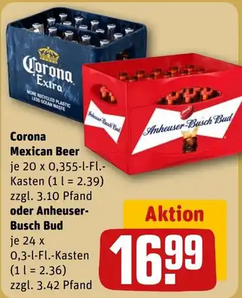 REWE Corona Mexican Beer Angebot
