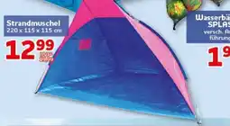 CENTERSHOP Strandmuschel Angebot