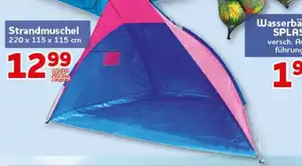 CENTERSHOP Strandmuschel Angebot
