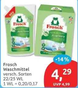Budni Frosch Waschmittel Angebot