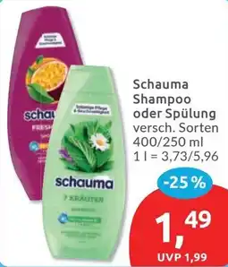 Budni Schauma Shampoo oder Spülung Angebot