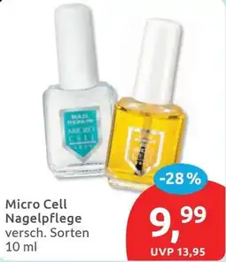 Budni Micro Cell Nagelpflege Angebot