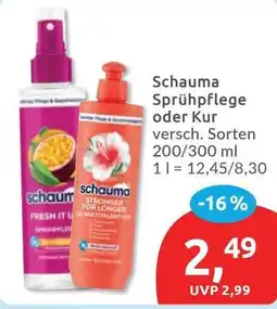 Budni Schauma Sprühpflege oder Kur Angebot