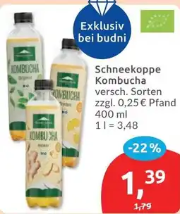 Budni Schneekoppe Kombucha Angebot